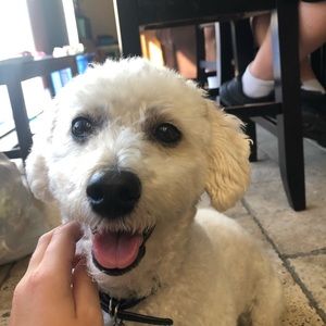 Meet your Posher, Emilee